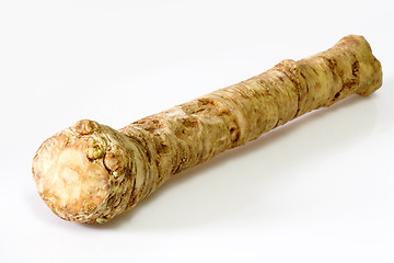 Image showing Horseradish