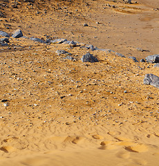 Image showing  old fossil in  the desert of morocco sahara and rock  stone sky