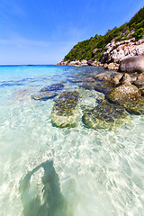 Image showing   asia  the bay kho tao      beach     