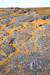 Image showing  old fossil in  the desert of morocco sahara  