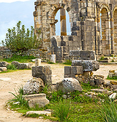 Image showing volubilis in morocco africa the old roman deteriorated monument 