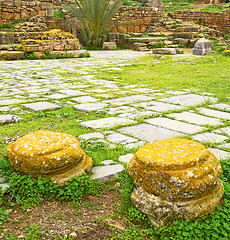 Image showing chellah  in morocco africa the old roman deteriorated monument a