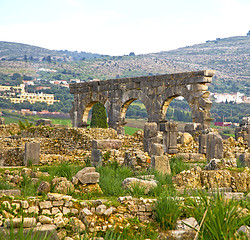 Image showing volubilis in morocco africa the old roman deteriorated monument 