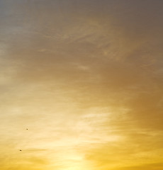 Image showing light  the sunrise in  colored sky white soft clouds and abstrac