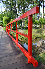 Image showing Red bridge in Chinese Garden 