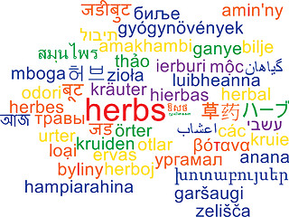 Image showing Herbs multilanguage wordcloud background concept