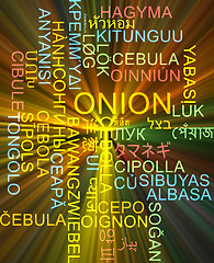 Image showing Onion multilanguage wordcloud background concept glowing