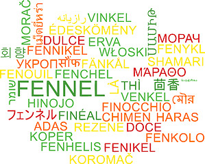 Image showing Fennel multilanguage wordcloud background concept