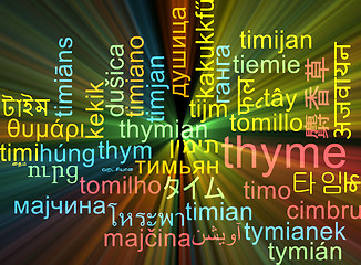 Image showing Thyme multilanguage wordcloud background concept glowing