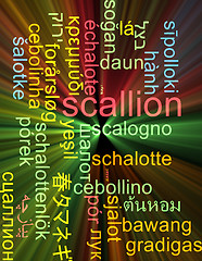 Image showing Scallion multilanguage wordcloud background concept glowing