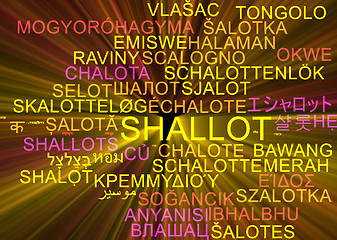 Image showing Shallot multilanguage wordcloud background concept glowing