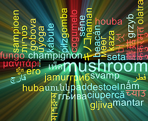 Image showing Mushroom multilanguage wordcloud background concept glowing