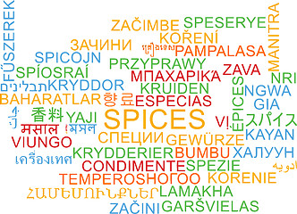 Image showing Spices multilanguage wordcloud background concept