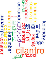 Image showing Cilantro multilanguage wordcloud background concept