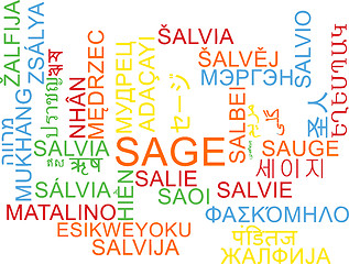 Image showing Sage multilanguage wordcloud background concept
