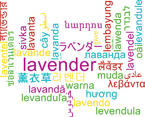 Image showing Lavender multilanguage wordcloud background concept
