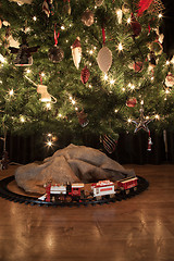 Image showing Christmas express