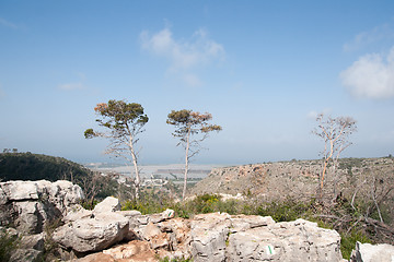 Image showing Spring season landscape