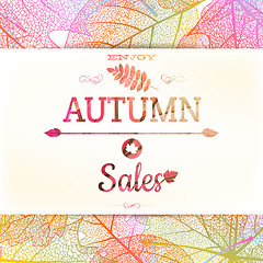 Image showing Autumn sale - fall leaves. EPS 10