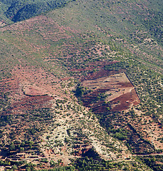 Image showing the dades valley in atlas moroco africa ground tree  and nobody
