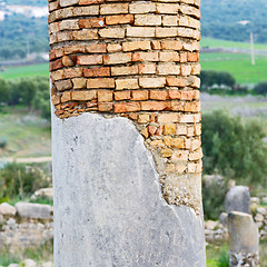 Image showing old column in the africa sky history and nature