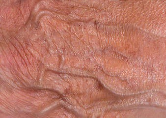 Image showing Hand of an old woman