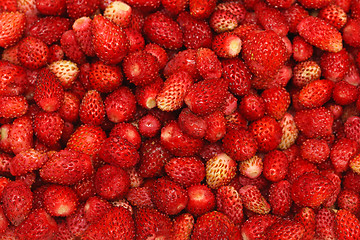 Image showing Strawberries wild