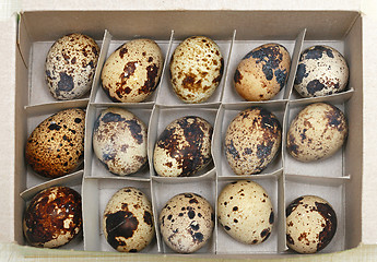 Image showing Quail egg box