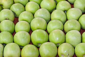 Image showing Green apples