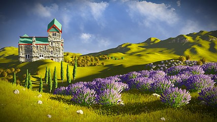 Image showing Lavender fields 