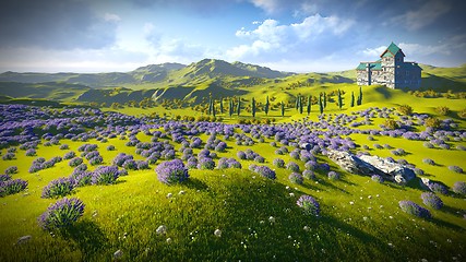 Image showing Lavender fields 