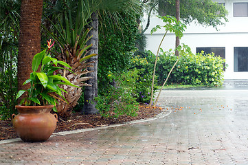 Image showing heavy rain in florida