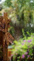 Image showing water on window colorful  florida garden
