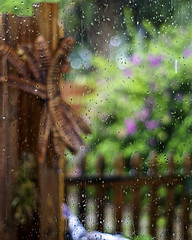 Image showing water on window colorful garden