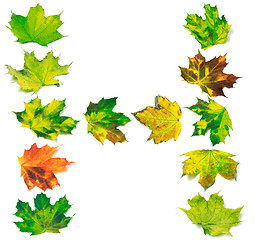 Image showing Letter H composed of multicolor maple leafs