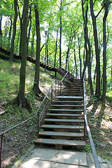 Image showing stairs in the park with big trees