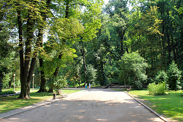 Image showing path in the park with big trees