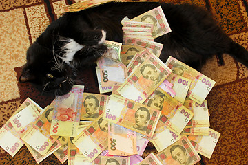 Image showing cat lying on the carpet with Ukrainian money