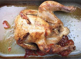 Image showing grilled chicken