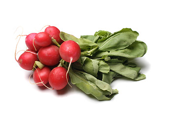 Image showing radish