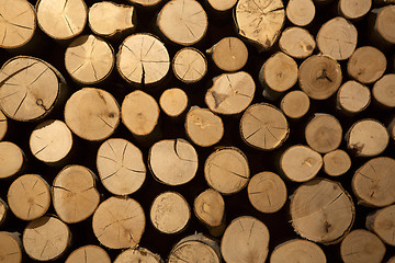 Image showing Closeup of stacked firewood