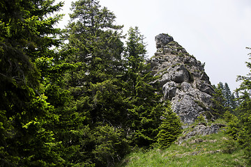 Image showing View to mountain top in the Bavarian Alps