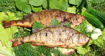 Image showing Smoked perch