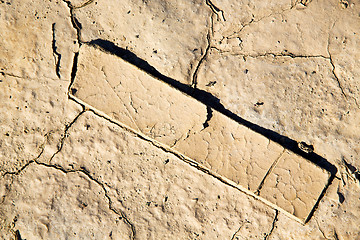 Image showing brown dry sand in wood and abstract