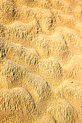 Image showing brown dry sand  sahara desert  