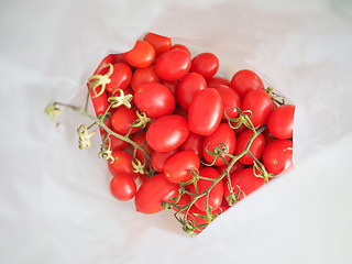 Image showing Red Tomato vegetables