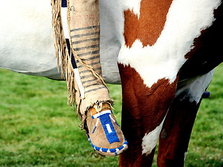 Image showing Native american indian.