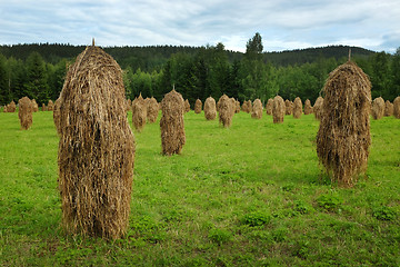 Image showing haystacks in field 