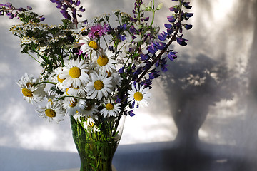 Image showing pleven flowers, lupines and daisies in a vase