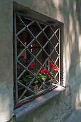 Image showing Window